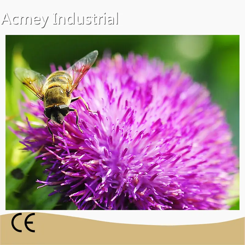 Best Organic Pumpkin Seed Oil Wholesale - Acmey-2 1