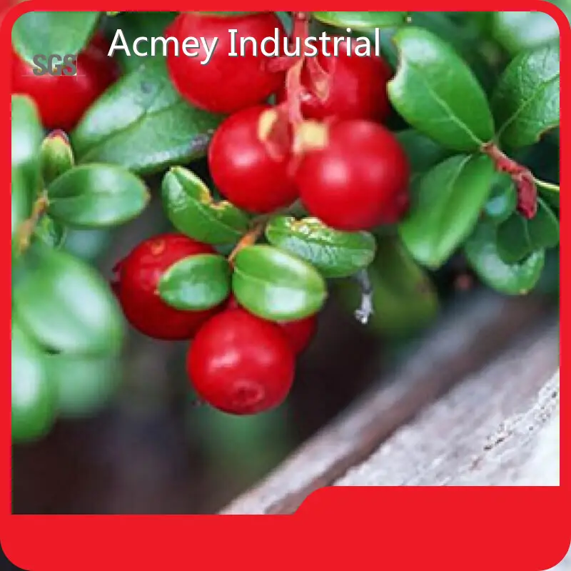 Organic Pumpkin Seed Extract - - Acmey-3 1