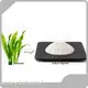 Dietary Supplements Ingredients Wholesale - Acmey-8 1