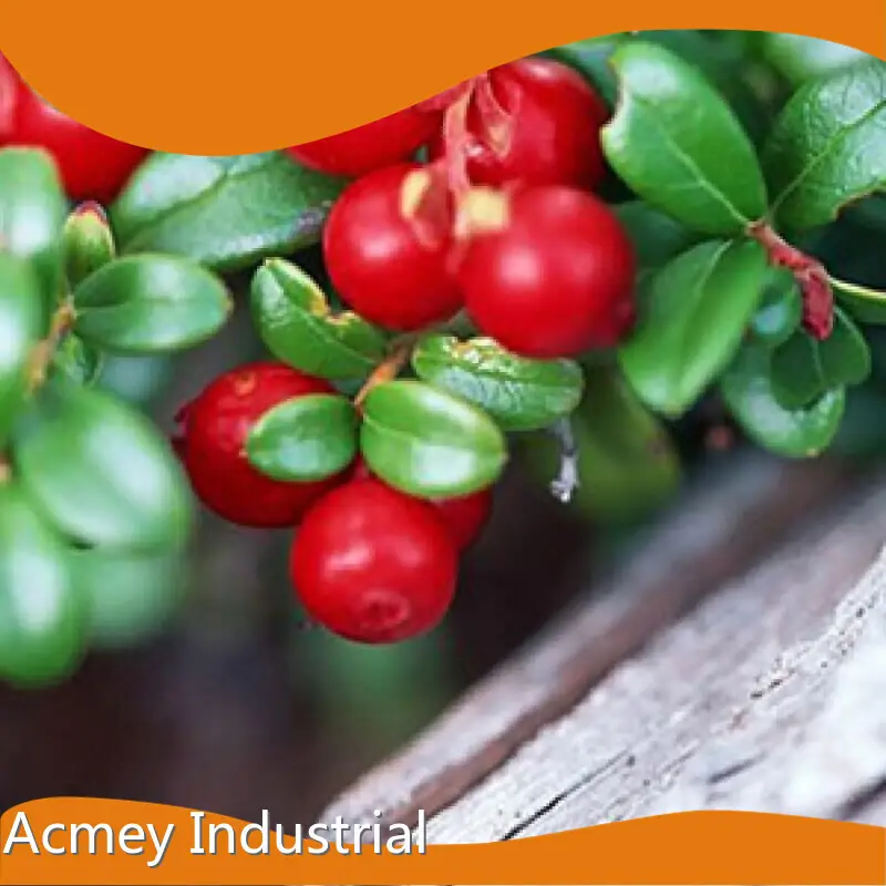 Best Pumpkin Seed Oil for Skin Wholesale - Acmey-5 1