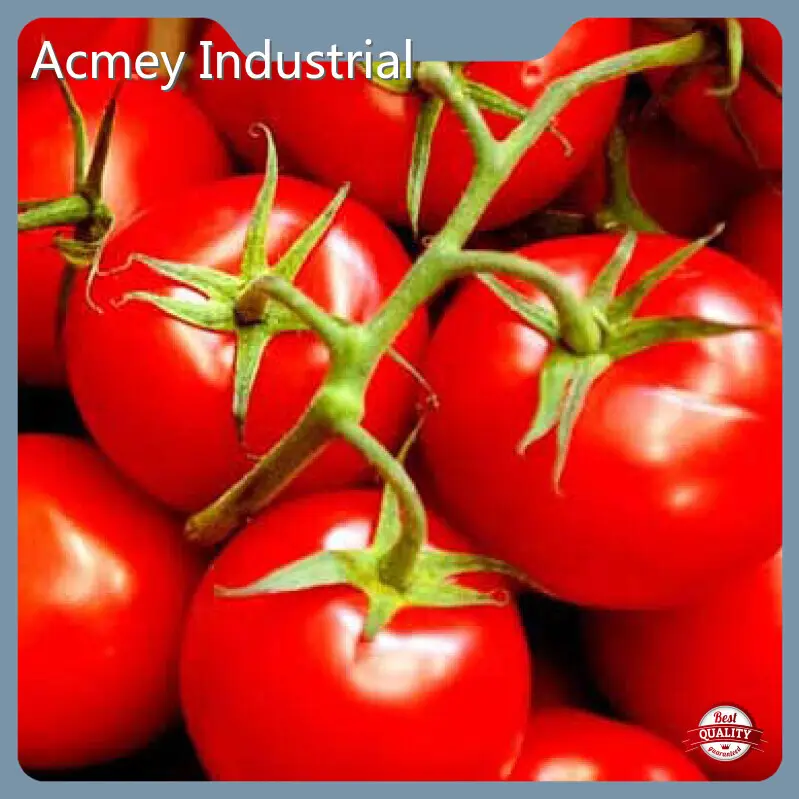 Supplement Ingredient Suppliers by Acmey-5 1