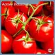 Supplement Ingredient Suppliers by Acmey-5 1