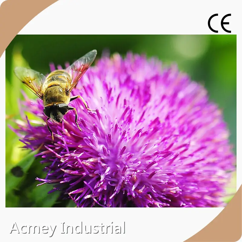 Organic Cold Pressed Pumpkin Seed Oil by Acmey-1 1