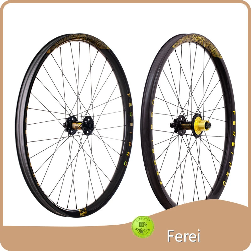 最佳29英寸MTB車輪32孔 -  飛銳 1