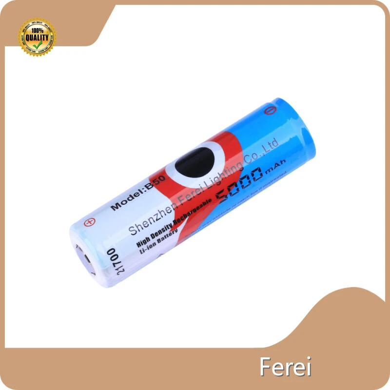 Литий-ионный аккумулятор 12 В 100 Ач от Ferei 1
