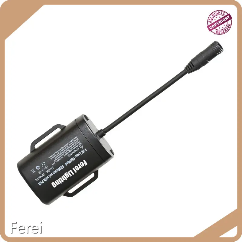 48v Lithium Ion Battery by Ferei 1