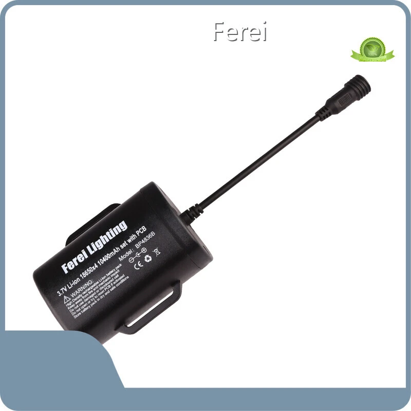 DC Plug AC Charger - - Ferei 1