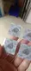 Anti Counterfeit Sticker PET - - LLR Packaging 4