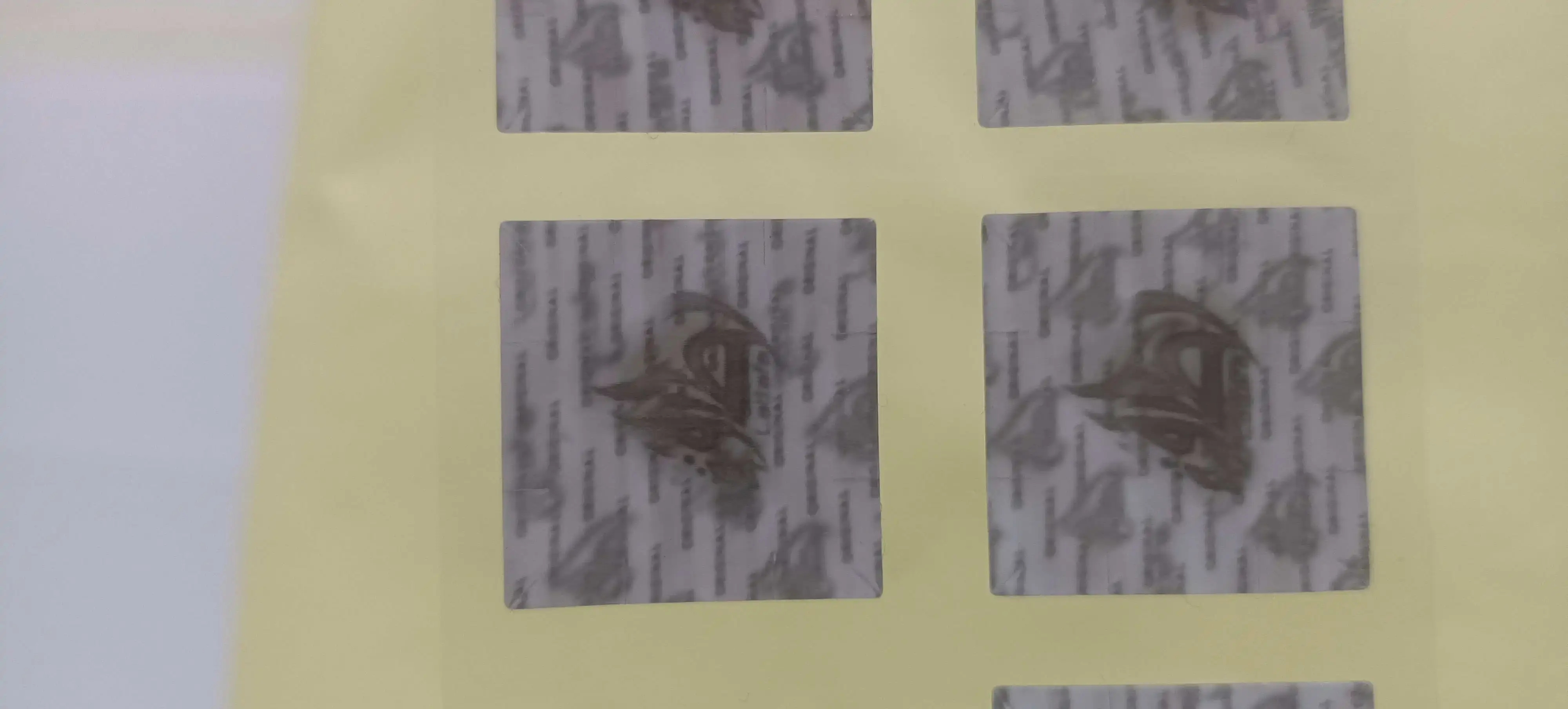Anti Counterfeit Sticker PET - - LLR Packaging 7