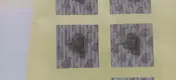 Anti Counterfeit Sticker PET - - LLR Packaging 7