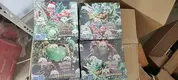 Packaging Box Manufacturer Kids Trading Game Cards by LLR Packaging 3