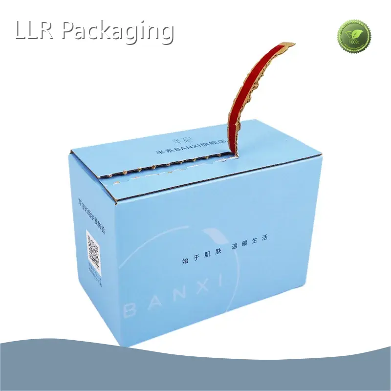 Corrugated Carton Box 28 by LLR Packaging 1