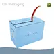 Corrugated Carton Box 28 by LLR Packaging 1