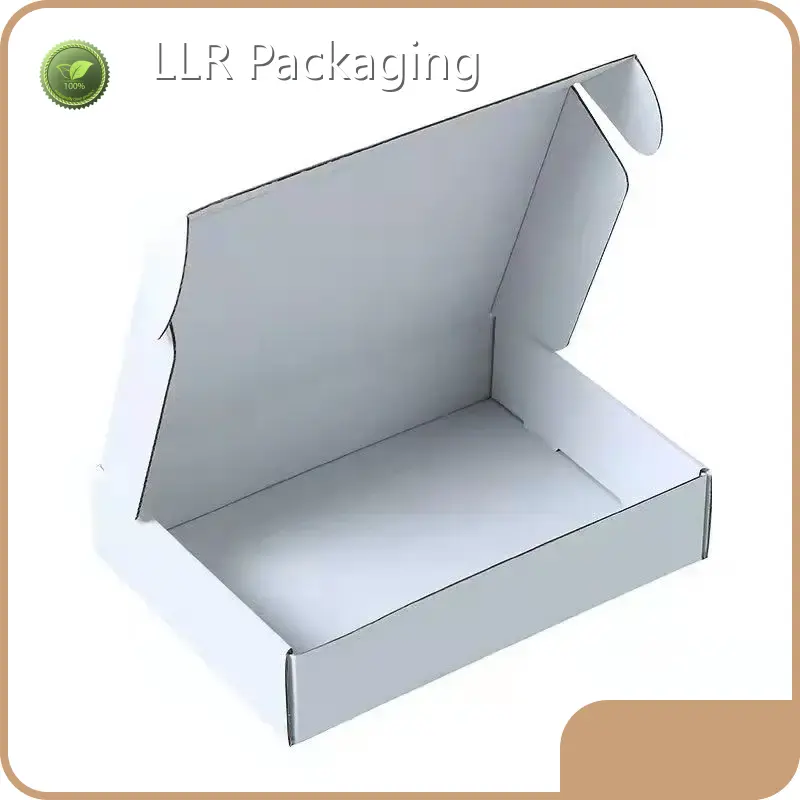 Cardboard Mailer Boxes Insulated Box for Shipping - - LLR Packaging 1