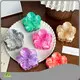 Kitsch Jumbo Claw Clips 2 Pack Flowers - - Dowell 1