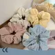 Professional Hair Combs Fashion by Dowell 1