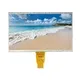 Oled Tft Display - - CNK 2
