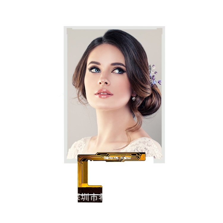 شاشة CNK TFT LCD مقاس 2.4 بوصة IPS CNKT0240-19248A2 1