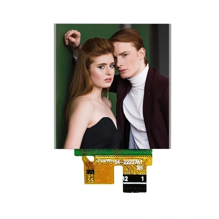 CNK TFT LCD Display 1.54 inch 240x240 pixel CNK0154-22227A1 1