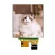 CNK Display Module Manufacturer Supply 4