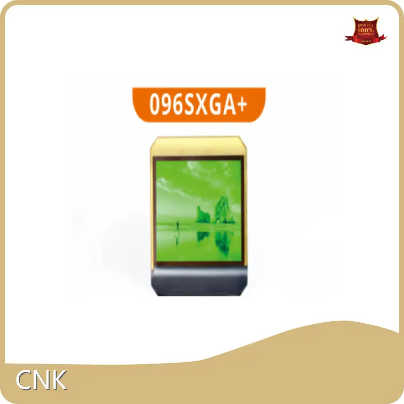 CNK Display Module Manufacturers 1