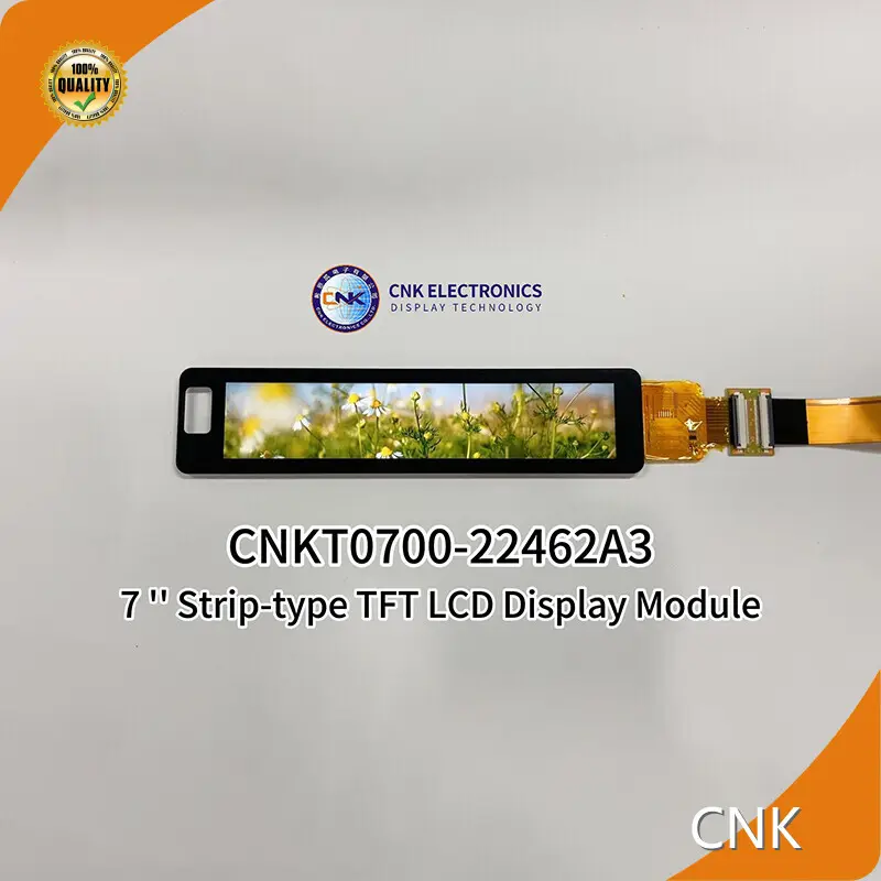 Display Module by CNK-1 1