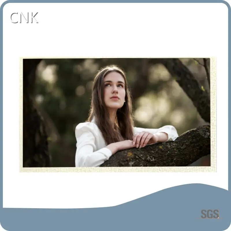 CNK Tft Monochrome Display Tft Monochrome DisplaySupply 1