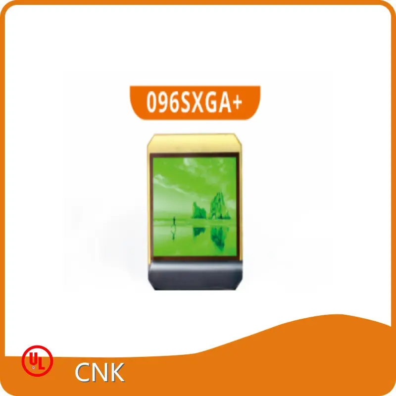Mini Oled Display Company 1