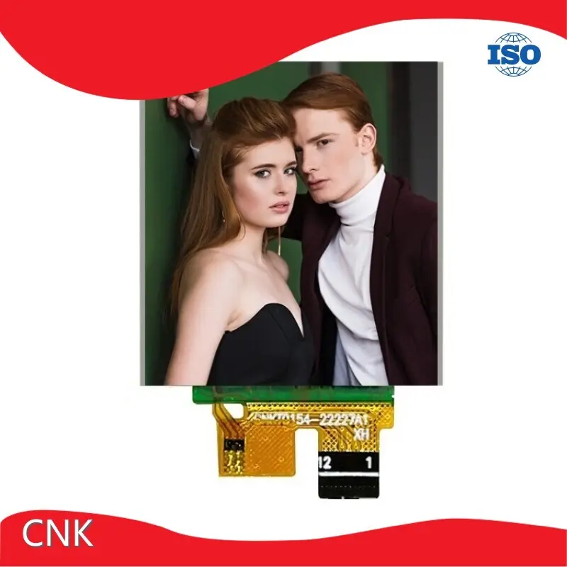 CNK Display Module Manufacturer Supply 1