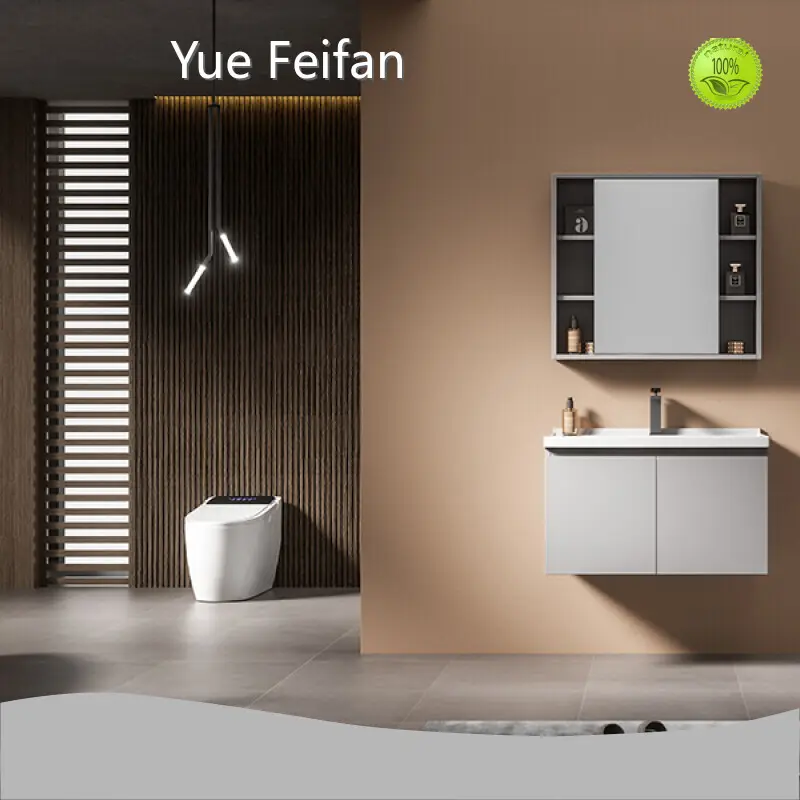 Aluminum Mirror Cabinet 6-10 Weeks by Yue Feifan 1