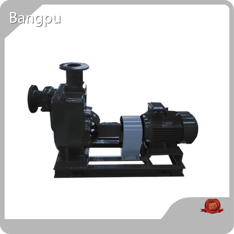 Reliable Sewage Septic Pump with Good Price Company 1