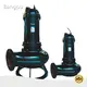 Large Water Pump 6~62m - for Water Drainage - Bangpu 1