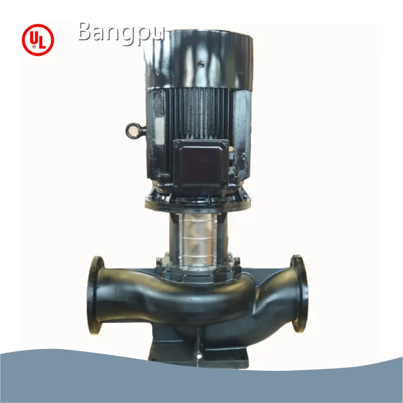 Bulk Pump for French Drain Pump for French Drain Company 1