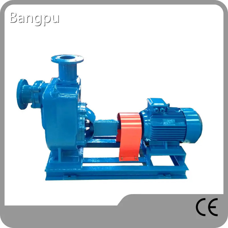 Low-cost Clear Water Pumps Factory Direct Supply for Business 1