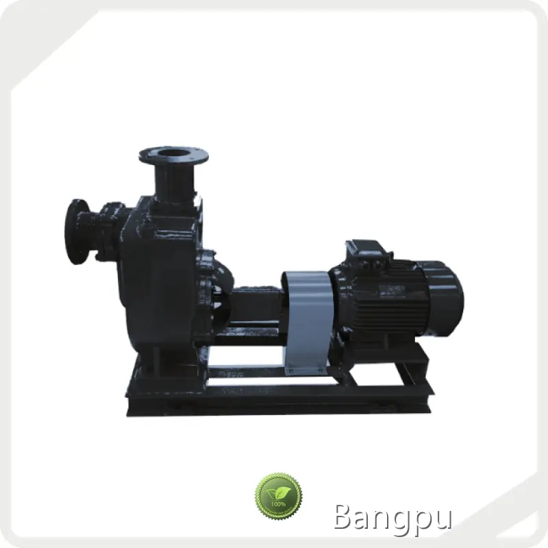 Bangpu High Pressure Water Pump ＜16barfactory Direct Supply 1