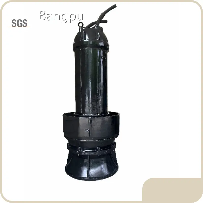 Bangpu Agriculture Water Pump 4~21m Agriculture Water Pumpmanufacturing 1