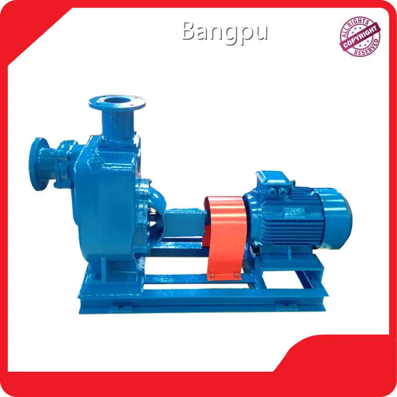 Bangpu Small Water Pump 12~80m Small Water Pumpwith Good Price 1
