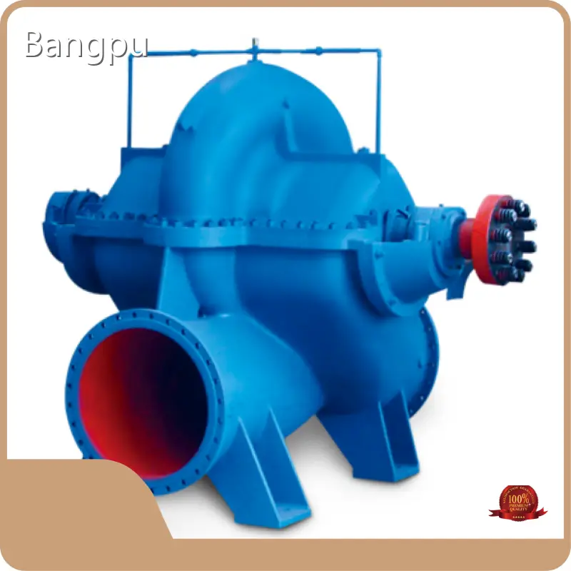 Bangpu Storm Drain Pump 10~125mfactory Direct Supply 1