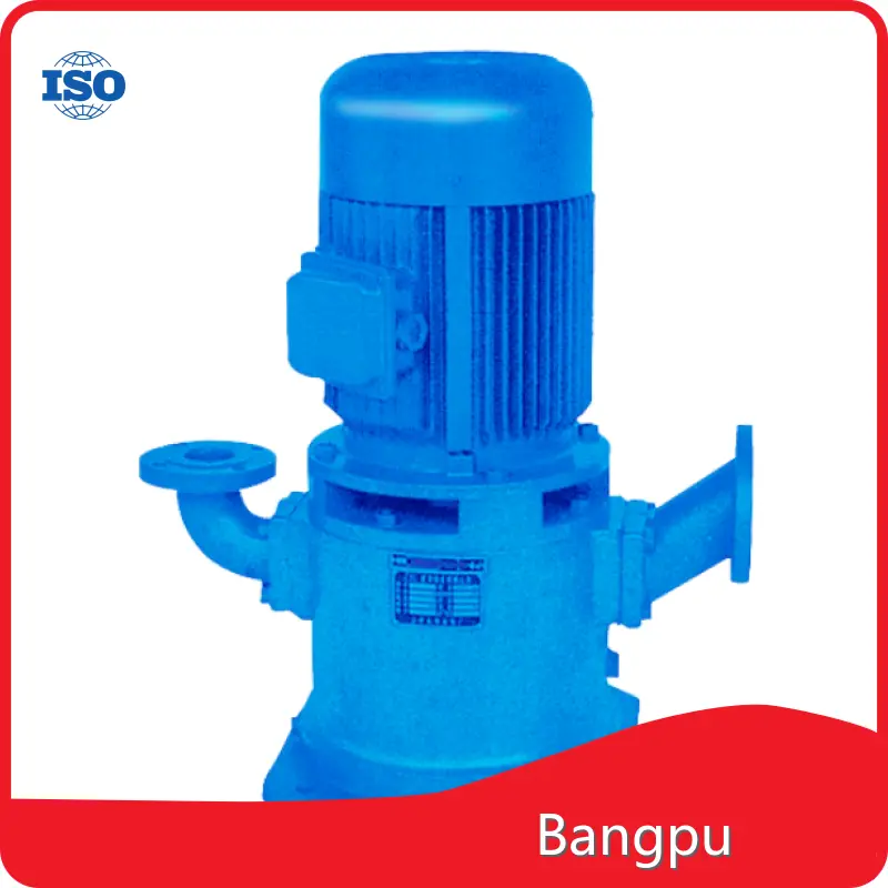 Electric Water Pump for Wholesale 12~60mwith Good Price 1