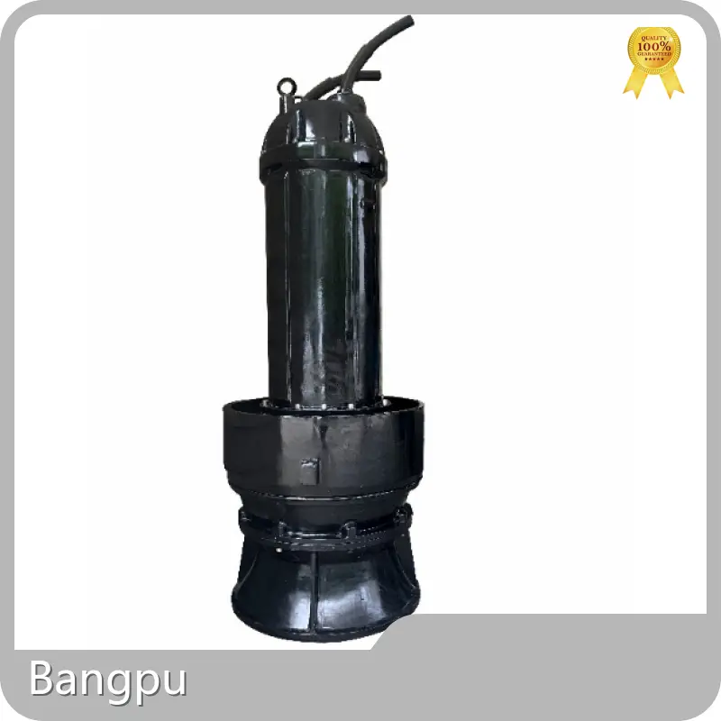For Agriculture Sewage Sump Pump ＜10bar by Bangpu 1