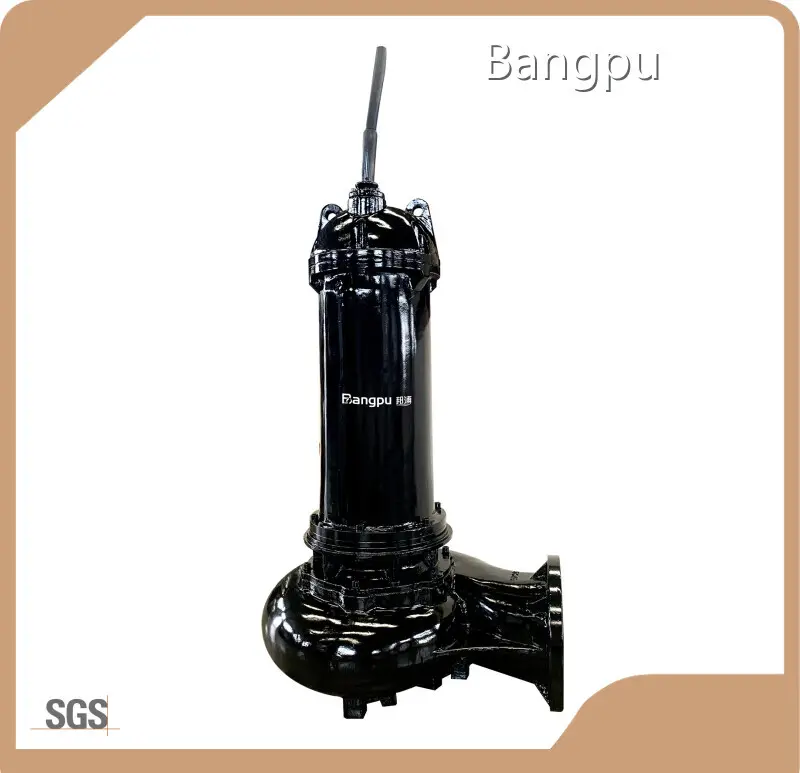 Customized Submassive Water Pump for Irrigation 1