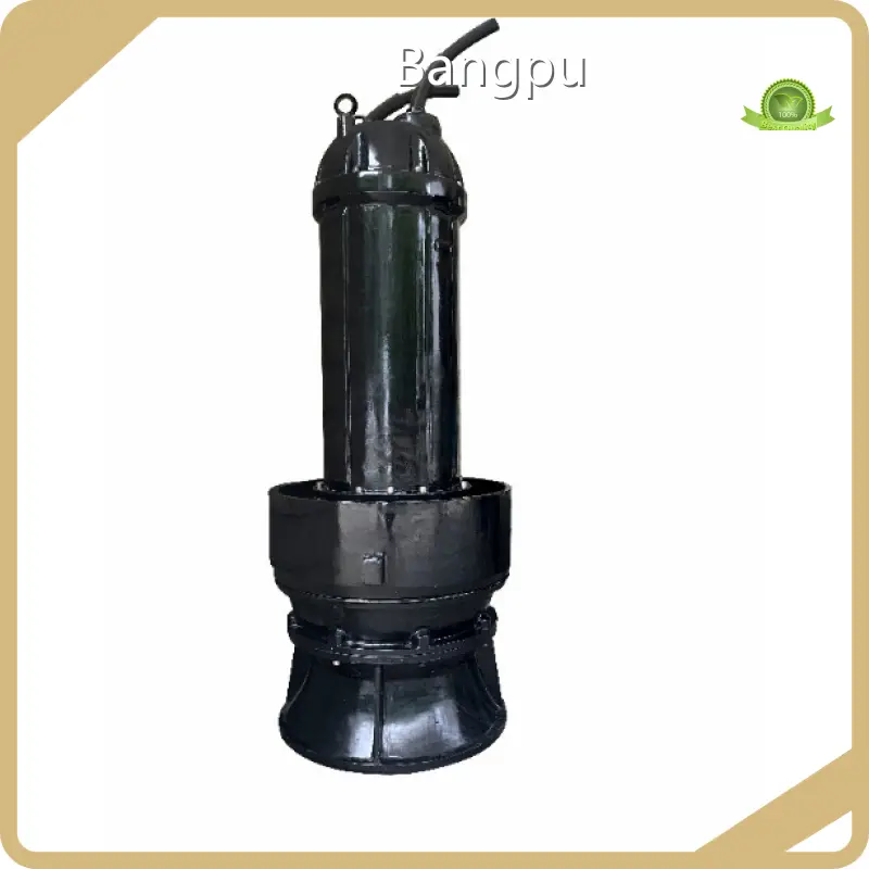 Bangpu Solar Water Pumps for Agriculture 500~38000m³/h Solar Water Pumps for Agriculturefactory 1