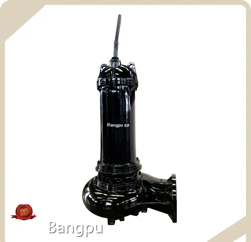 Good Sellingautomatic Water Pump for Irrigation 10~6000m³/h 6~62m 1