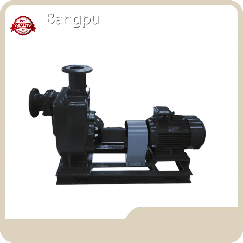 Types of Water Pumps ＜16bar Wholesale - Bangpu 1