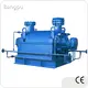 Clarified Water Pump 75~650m Wholesale - Bangpu 1