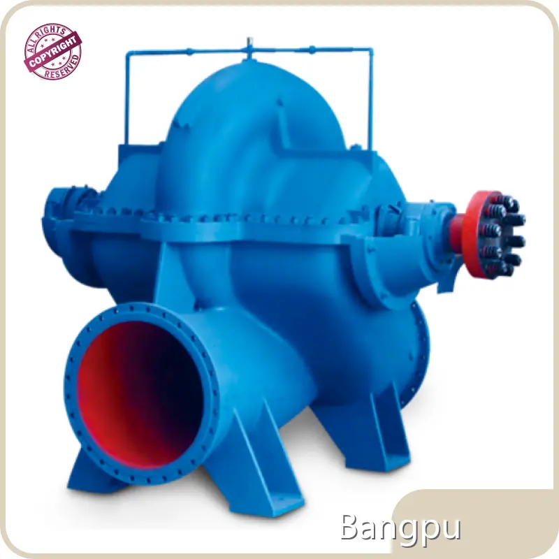 Professional Large Water Pump for Plants 1