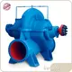 Professional Large Water Pump for Plants 1