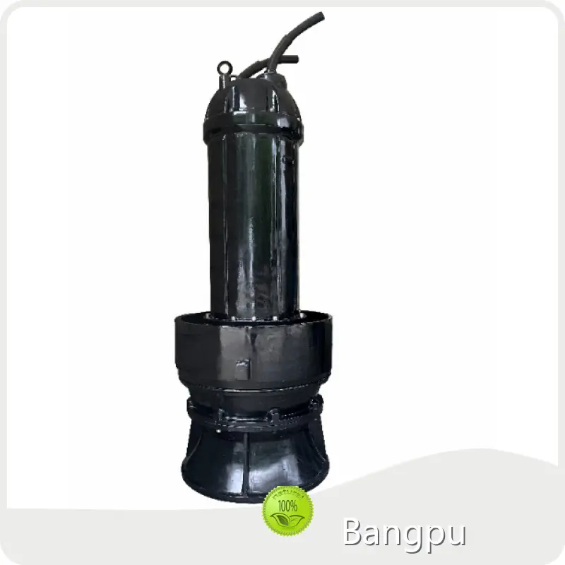 Bangpu Storm Drain Pump 0℃~60℃ Storm Drain Pump Company 1