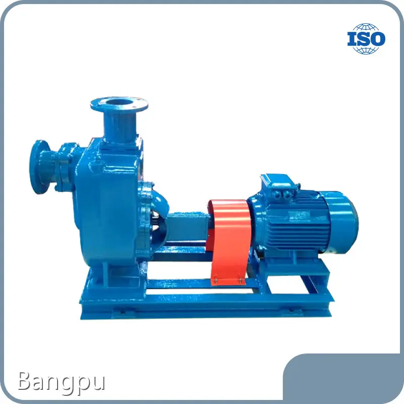 Bangpu Solar Water Pumps for Agriculture 3.2~280m³/h Solar Water Pumps for Agriculture Best Supplier 1