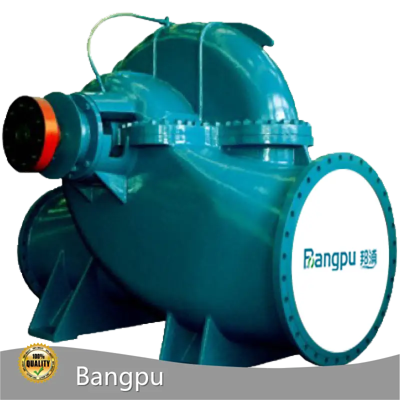 Bangpu Drain Pump 65~11600m³/h with Good Price 1